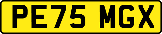 PE75MGX