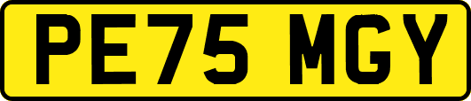 PE75MGY