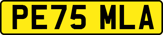 PE75MLA