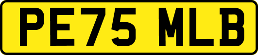 PE75MLB