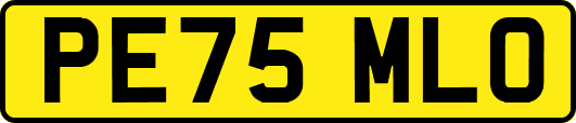 PE75MLO