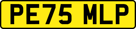 PE75MLP