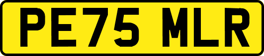 PE75MLR