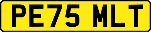 PE75MLT