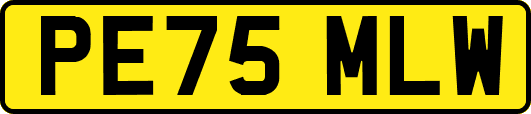 PE75MLW