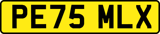 PE75MLX