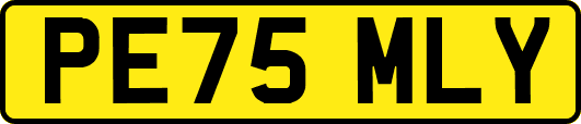 PE75MLY