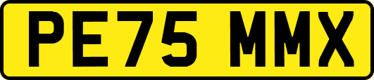 PE75MMX