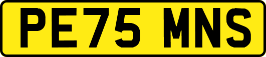 PE75MNS