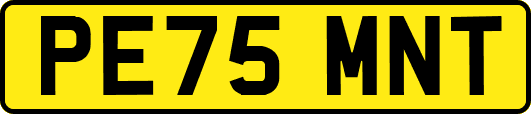PE75MNT