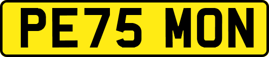 PE75MON