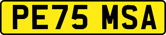 PE75MSA