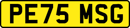 PE75MSG