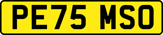 PE75MSO