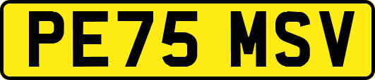 PE75MSV