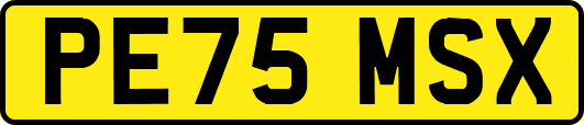 PE75MSX