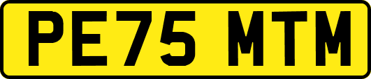 PE75MTM