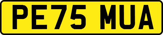 PE75MUA