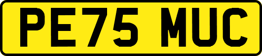 PE75MUC
