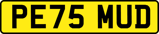 PE75MUD