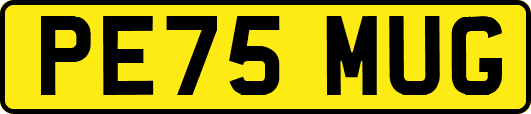 PE75MUG