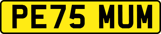 PE75MUM