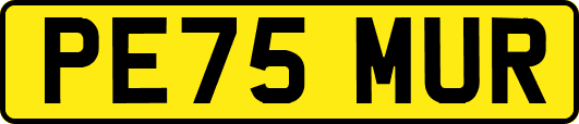 PE75MUR
