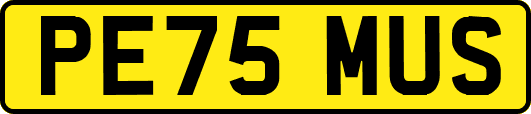 PE75MUS