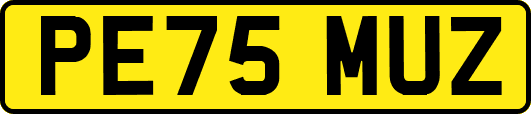 PE75MUZ