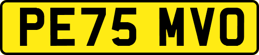PE75MVO