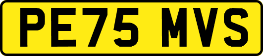 PE75MVS