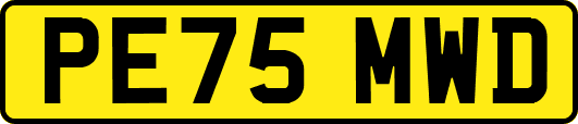 PE75MWD
