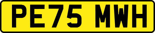PE75MWH