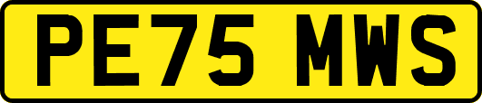 PE75MWS