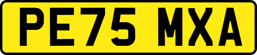 PE75MXA