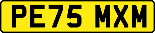 PE75MXM