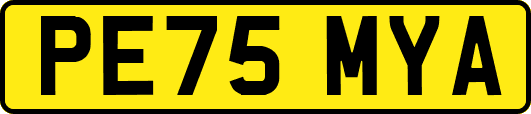 PE75MYA