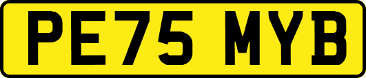 PE75MYB