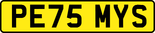 PE75MYS