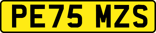 PE75MZS