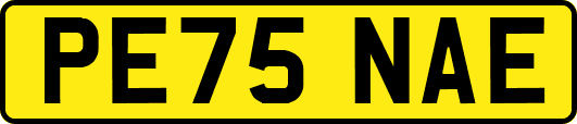 PE75NAE
