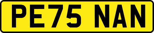 PE75NAN