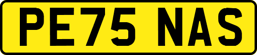 PE75NAS