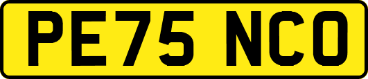 PE75NCO