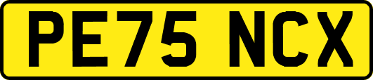 PE75NCX