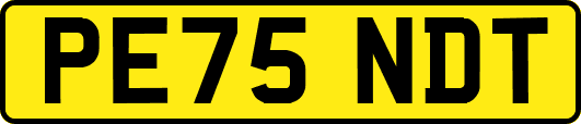 PE75NDT