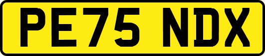 PE75NDX