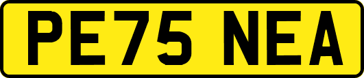PE75NEA