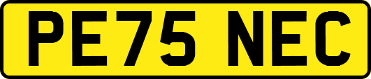 PE75NEC