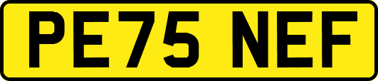 PE75NEF